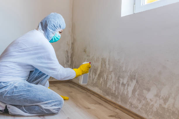 Mold Remediation specialist working in Lake Stevens